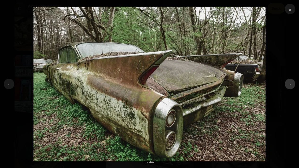 JW Cooper Photography: Weathered vintage car with tall tail fins in a wooded setting